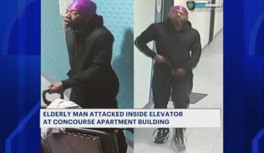 News 12 | Bronx | 74 Year Old Man Attacked Inside Elevator At Concourse Building