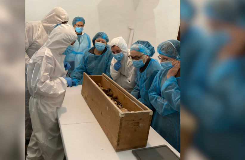 Researchers stand with the remains of Queen Elisenda de Montcada, June 14, 2026.