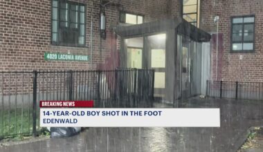 News 12 | Bronx | Teen Shot In The Foot At Edenwald Houses
