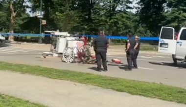 Teenager dies after being thrown from horse-drawn carriage in NYC’s Central Park
