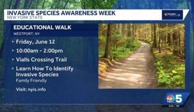 New York Invasive Species Awareness Week features events statewide