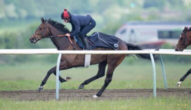 King and Queen Could Score With Reaching High at Ascot