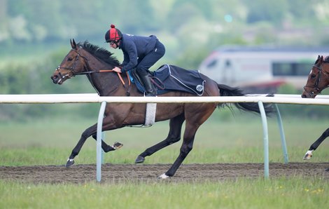 King and Queen Could Score With Reaching High at Ascot