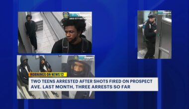 News 12 | Bronx | Teens Arrested Charged In Prospect Avenue Shooting