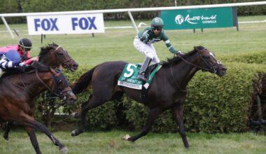 HORSE RACING: Deterministic sets course record in impressive repeat in G1 Manhattan (PHOTO GALLERY) – Saratogian