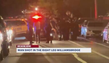 News 12 | Bronx | Police Search For Gunman Who Shot Man In The Leg In Williamsbridge