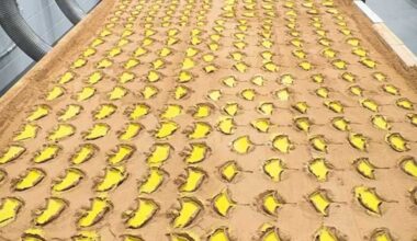 New York’s Cathedral of St John the Divine unveils delicate artistic tribute to city’s unhoused population - The Art Newspaper
