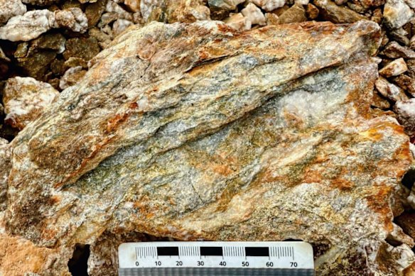 Rock chip sample averaging 14.55g/t collected from the northeast end of the Jaws prospect at Manhattan Gold Corporation’s Hook Lake project, Nunavut Territory, Canada.