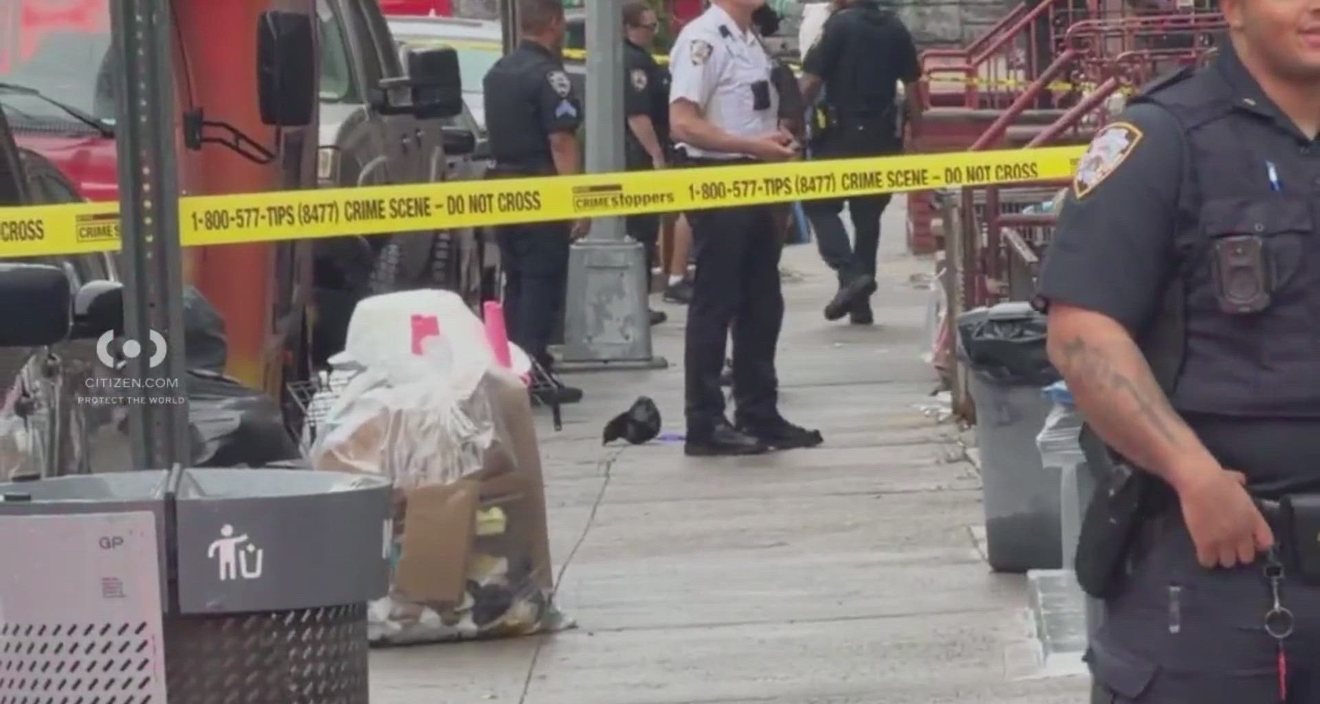News 12 | Bronx | 21 Year Old Man Shot In The Head And Killed In Belmont