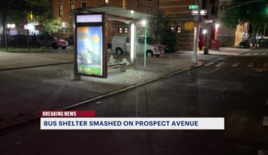 News 12 | Bronx | Bus Shelter Smashed On Prospect Avenue