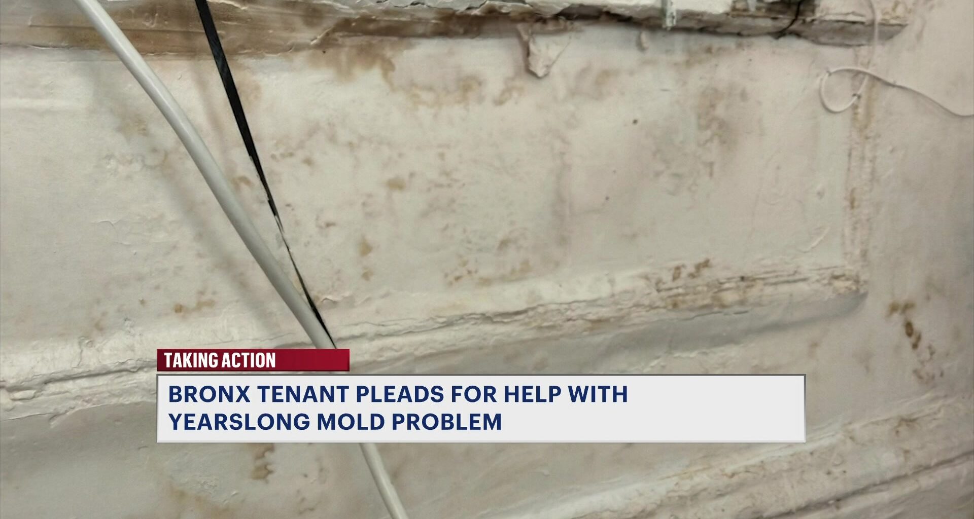 News 12 | Brooklyn | Bronx Tenant Pleads For Help Over Yearslong Mold Problem