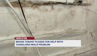 News 12 | Brooklyn | Bronx Tenant Pleads For Help Over Yearslong Mold Problem
