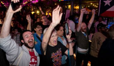 Supporters for Democratic congressional candidate Darializa Avila Chevalier celebrate during an election night watch party Tuesday, June 23, 2026, in New York. (AP Photo/Seth Wenig)