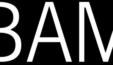 BAM (Brooklyn Academy of Music) Unveils Fall 2026 Season and Next Wave