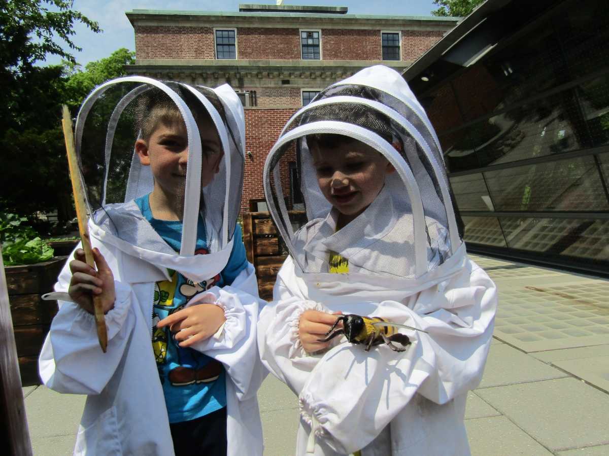 New York Family’s 20 Best July Events Across NYC