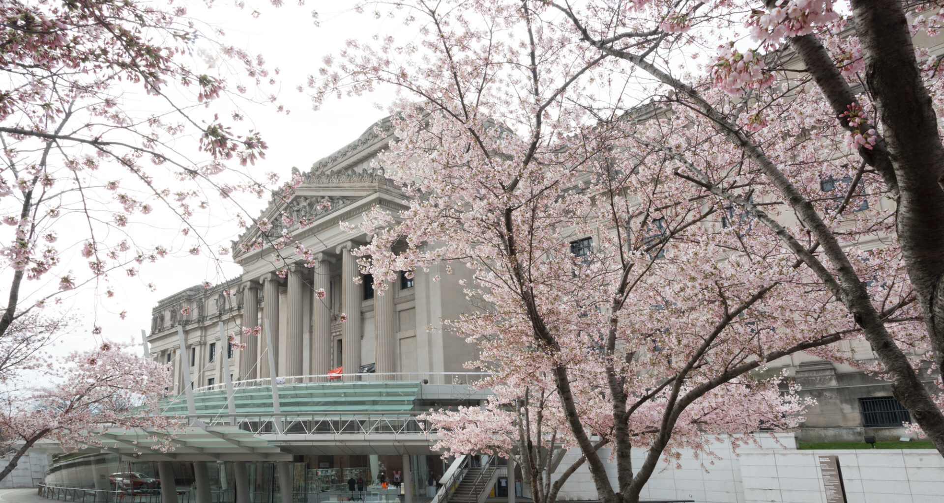 Brooklyn Museum. Photo: Jonathan Dorado