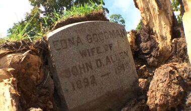 Fallen tree unearths century-old secret in N.Y. cemetery