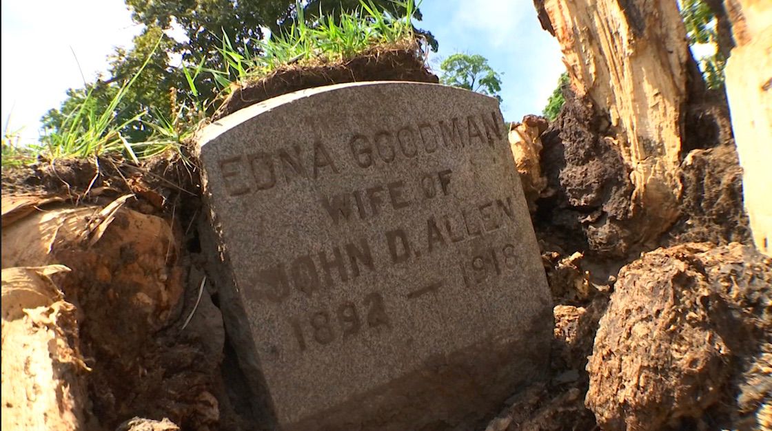 Fallen tree unearths century-old secret in N.Y. cemetery