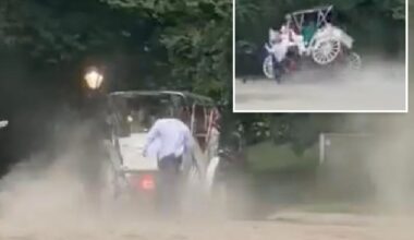 Teen passenger critically wounded as NYC carriage horse gets startled, bolts in Central Park