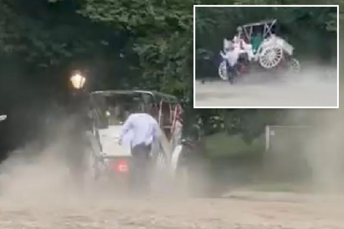 Teen passenger critically wounded as NYC carriage horse gets startled, bolts in Central Park