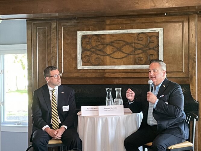 Molitor, Borrello criticize state Dems, NYC primary during Chamber event | News, Sports, Jobs