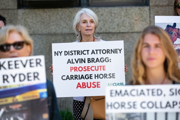 Animal activists call for the end and animal abuse investigation of horse-drawn carriages in Hell's Kitchen, outside the Manhattan District Attorney's Office in Manhattan on Aug. 16, 2022.