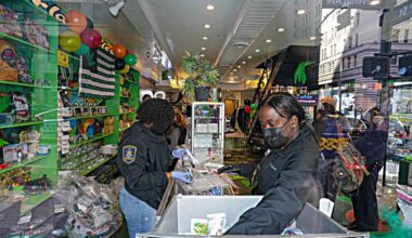 New York State appeals court lifts injunction stopping cannabis shop raids