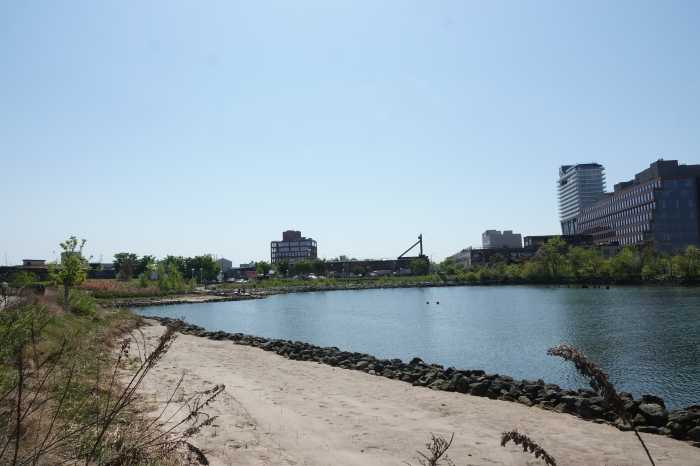 bushwick inlet park motiva
