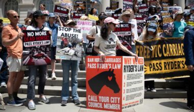 NYC lawmakers revive Ryder’s Law to ban horse carriage industry