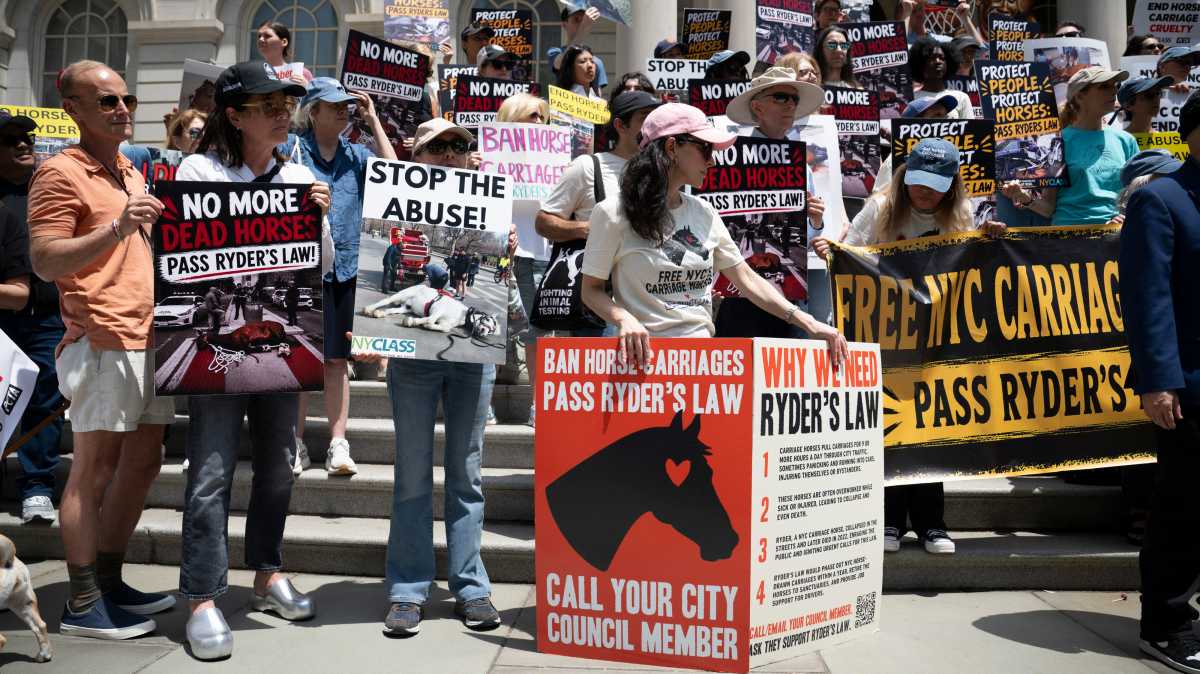 NYC lawmakers revive Ryder’s Law to ban horse carriage industry