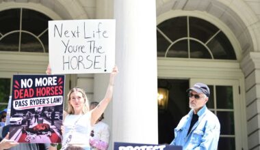Queens Council member floats carriage horse welfare bill to counter measure to ban industry