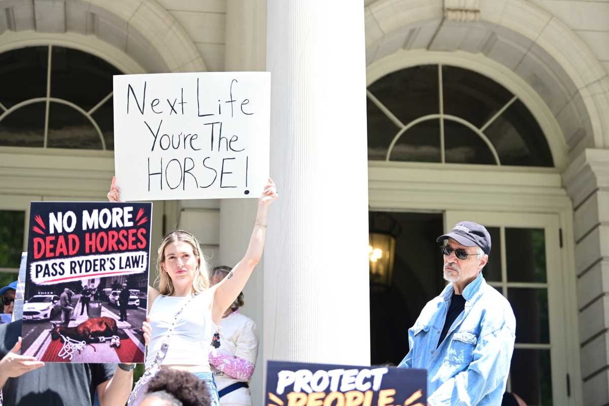 Queens Council member floats carriage horse welfare bill to counter measure to ban industry