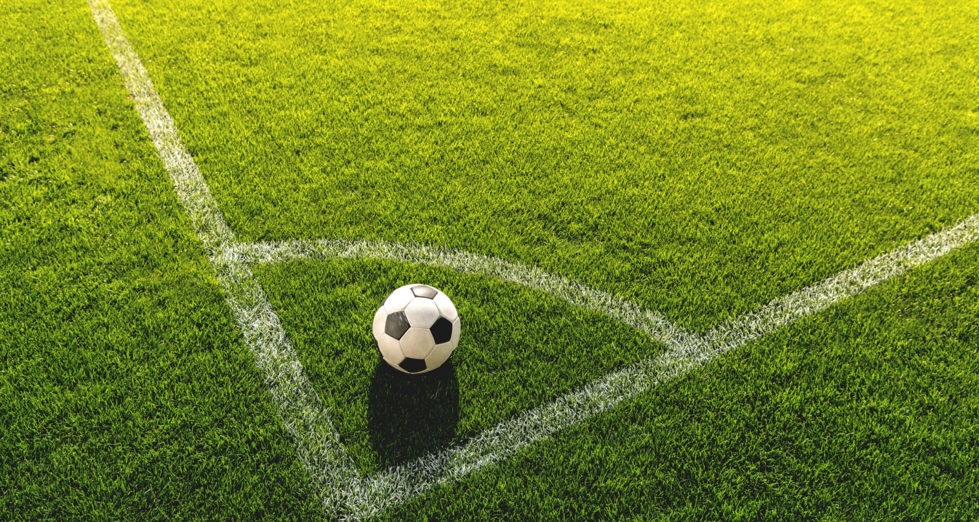 NYC Releases 2026 FIFA World Cup Promotional Video | The Bronx Daily