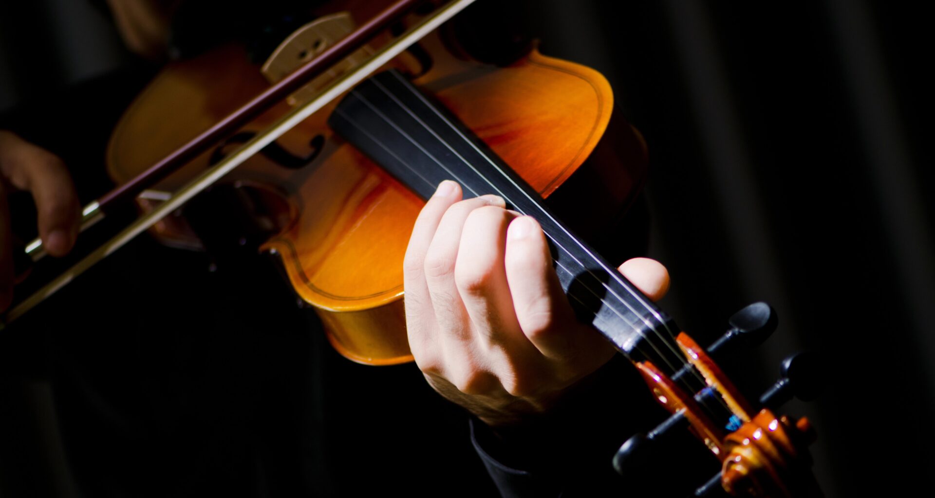 They Have Played You, Bro, Like A Fiddle | The Bronx Daily