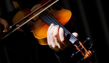 They Have Played You, Bro, Like A Fiddle | The Bronx Daily