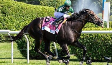 Deterministic eyes Fourstardave after Manhattan win