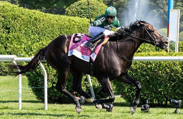 Deterministic eyes Fourstardave after Manhattan win