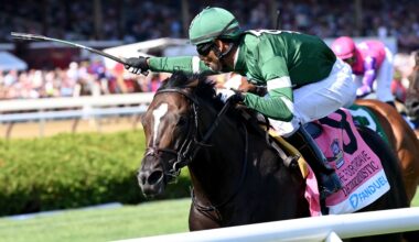 Tipsheet: 2026 Manhattan Stakes | TwinSpires