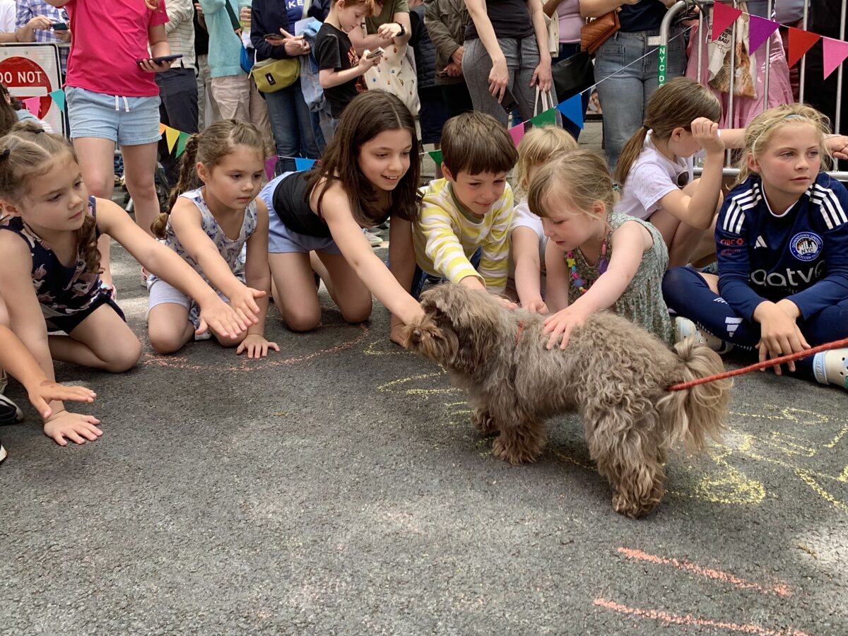 Kids at the 2024 BHA Dog Show went wild over Bonnie. Photo: Mary Frost, Brooklyn Eagle