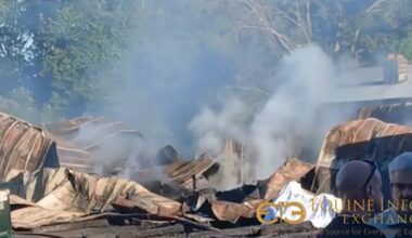 17 horses die in Northern New York barn fire