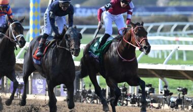 Forever Young to Return to Breeders' Cup by Way of Belmont Park