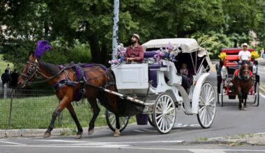 New York City Horse Drawn Carriages Could Be Going Away