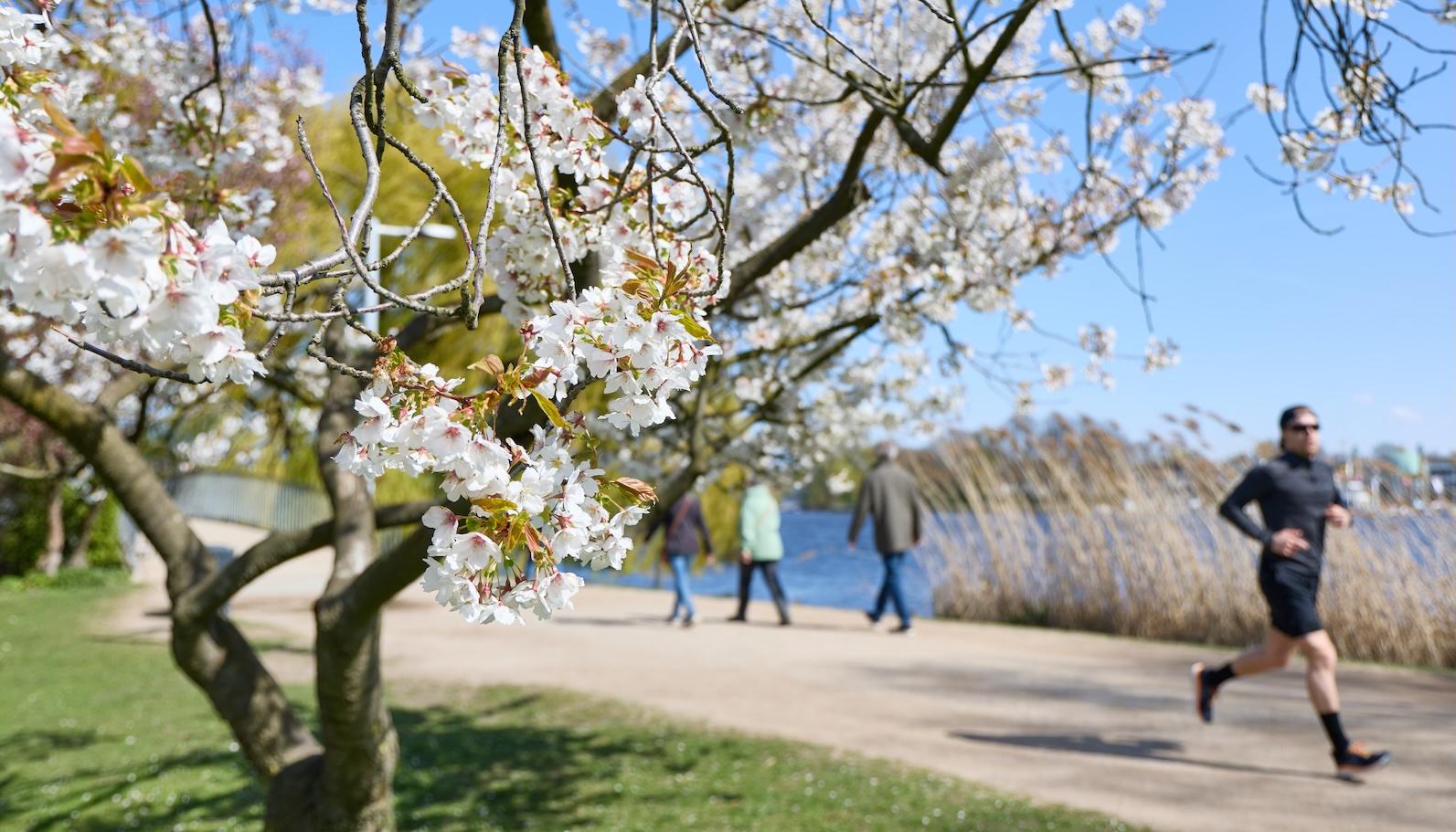 Walkers enjoy the sunshine on the Outer Alster in Hamburg