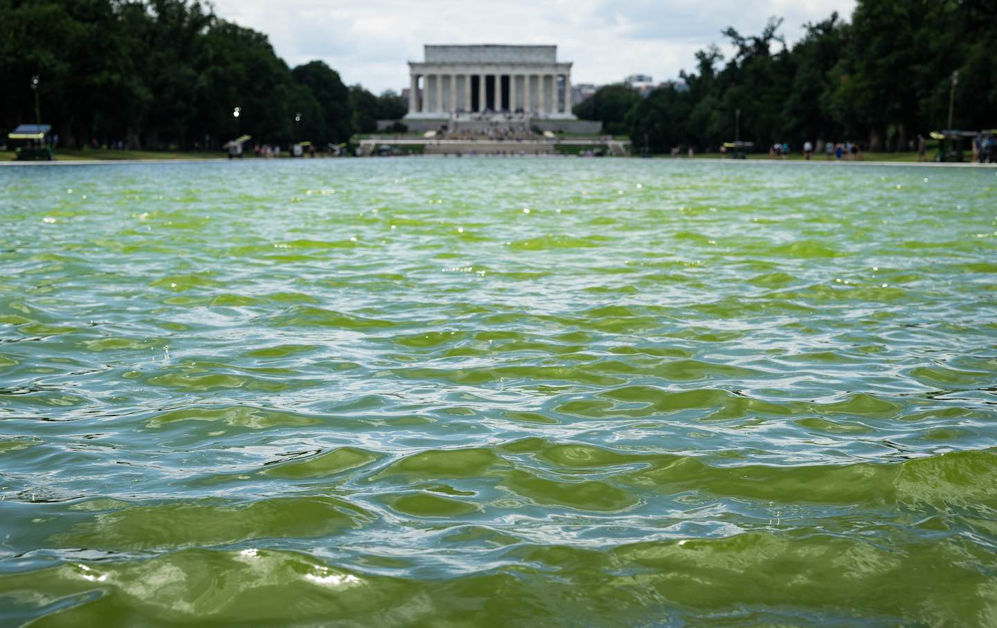 Reflecting Pool