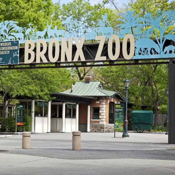 American 250 in the Bronx: Historic Landmarks and Family-Friendly Sites to Explore