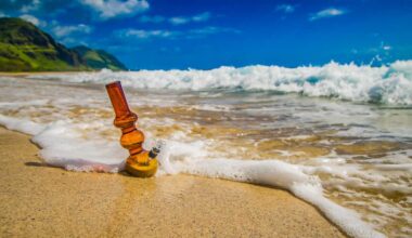 Times Square cannabis dispensary contest could send you to the Hamptons this summer