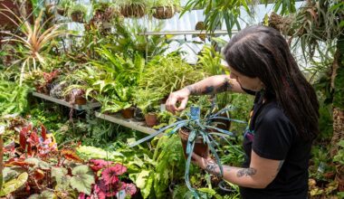 How Haley Hibbert Frey '01 Cultivates Community at Queens