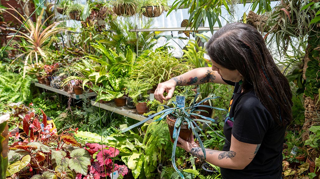 How Haley Hibbert Frey '01 Cultivates Community at Queens