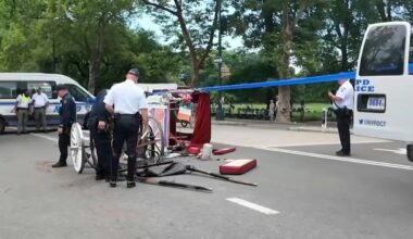 Central Park horse carriage rides halted after teen’s death – NBC New York