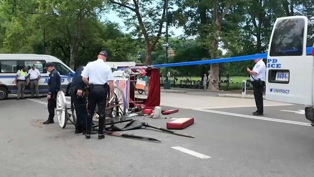 Central Park horse carriage rides halted after teen’s death – NBC New York